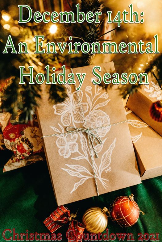 December 14th: An Environmental Holiday Season - Rae Medicine Woman
